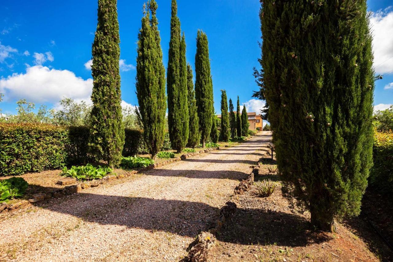 Donzellino Villa Massa Marittima Eksteriør bilde