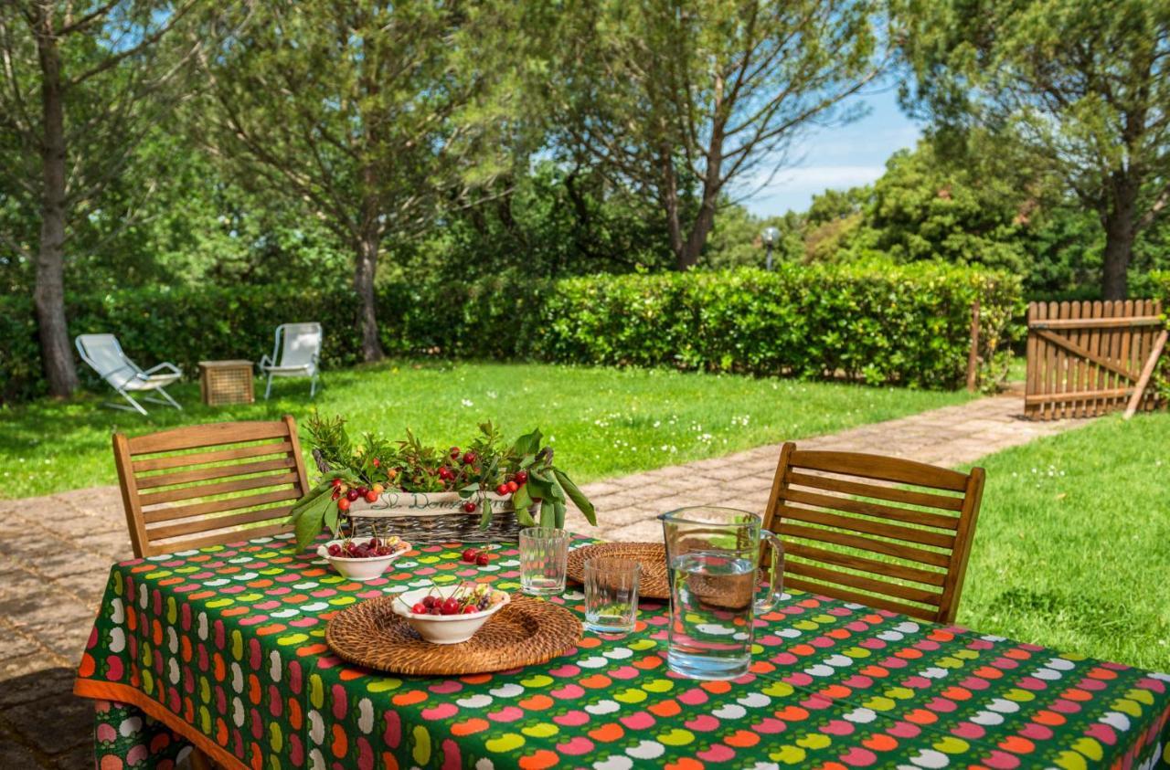 Donzellino Villa Massa Marittima Eksteriør bilde